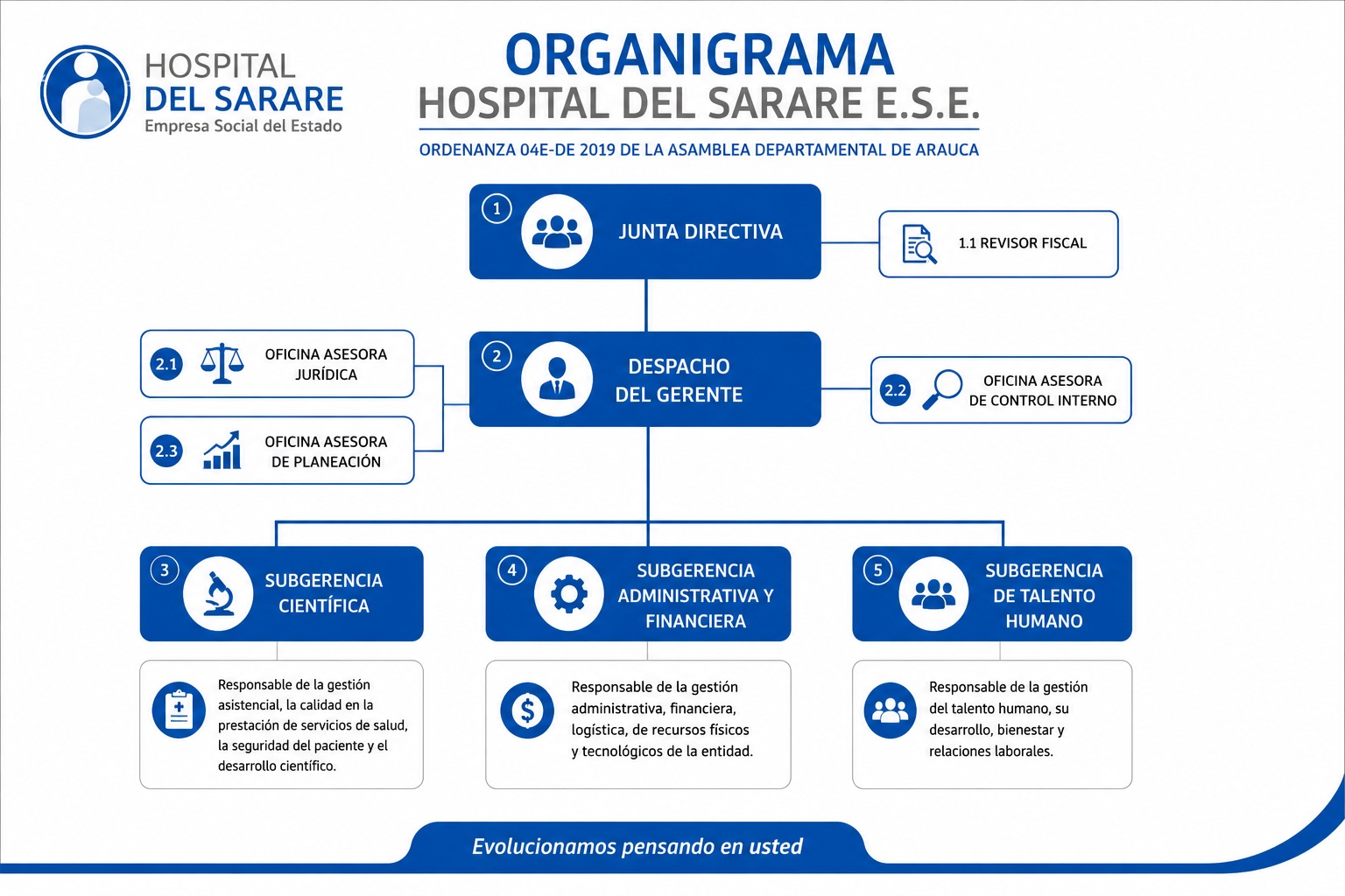 ORGANIGRAMA